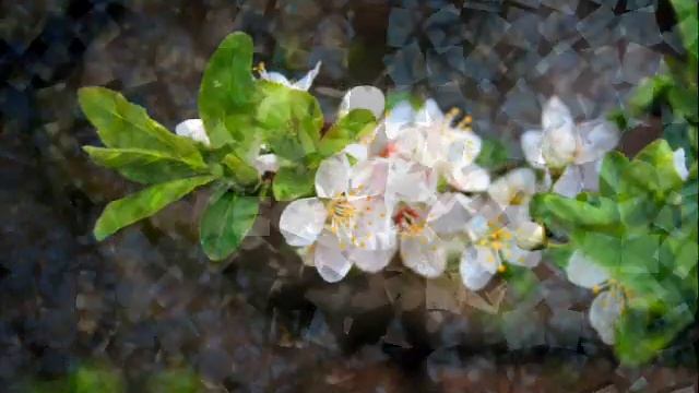 Зимние деревья Господарская Евдокимов .wmv смотреть онлайн