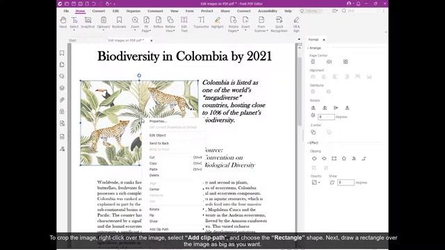 How to Edit Images in a PDF file | PDF Editor | Free PDF download смотреть онлайн
