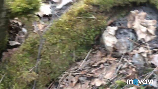 Строчки гигантские.