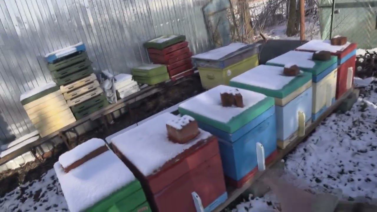 ЗИМОВКА 21 01 24 смотреть онлайн