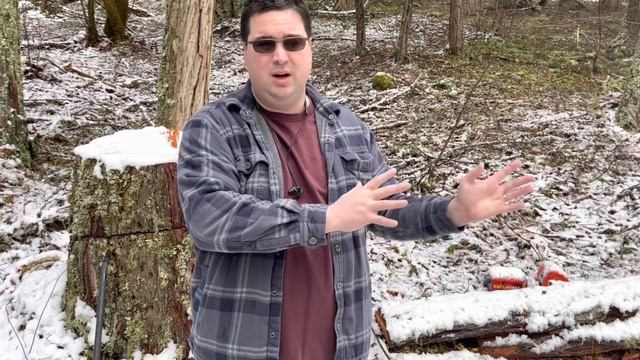 WATCH THIS BEFORE BUYING A CHAINSAW MILL! смотреть онлайн