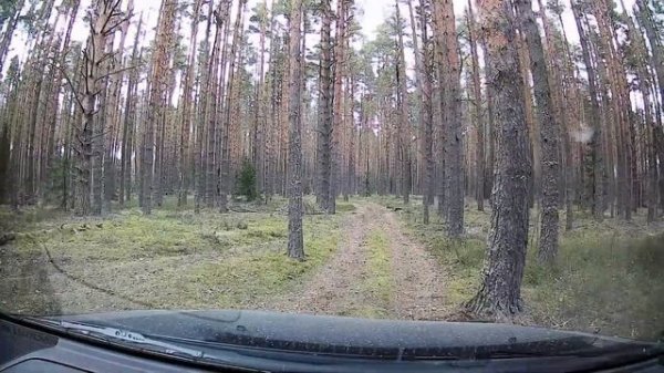 Toyota Probox 4wd NCP55 offroad test.