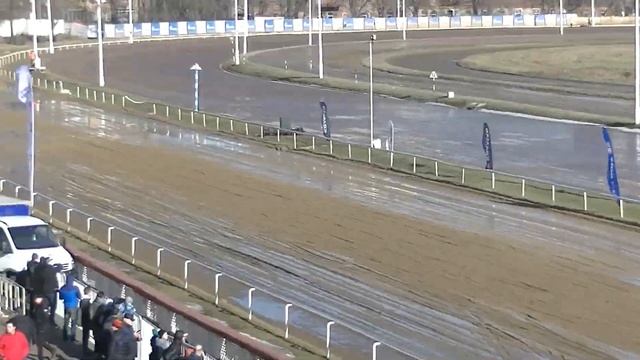 Автогонки 2020