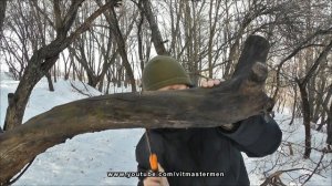 Тест японской пилы Z-saw с крупным зубом для обрезки плодовых деревьев