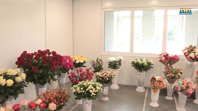 Цветобаза Букеты к 1 сентября 2017 смотреть онлайн