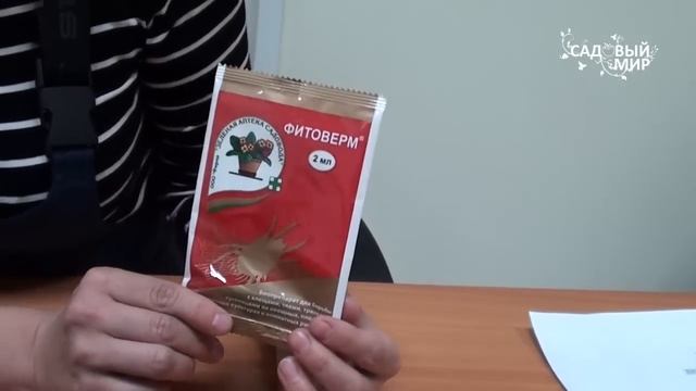 Как защитить рассаду от белокрылки и других насекомых вредителей. Сайт "Садовый мир" смотреть онлайн
