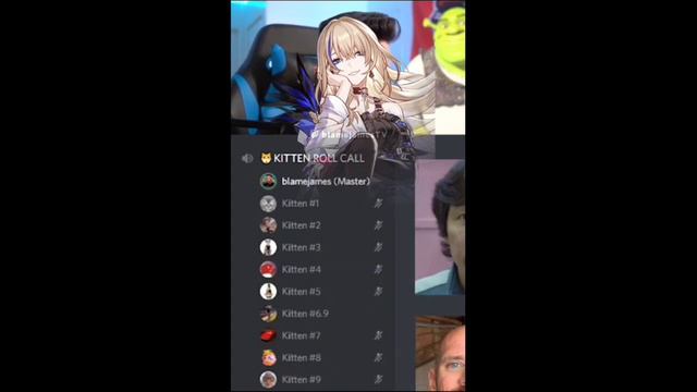honkai star rail discord kitten role call meme смотреть онлайн