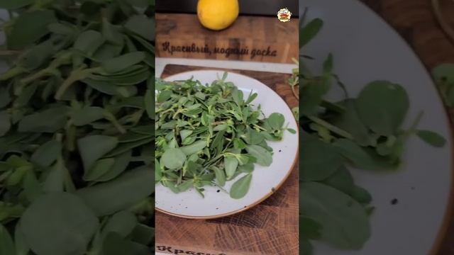 Домовладелец Профи