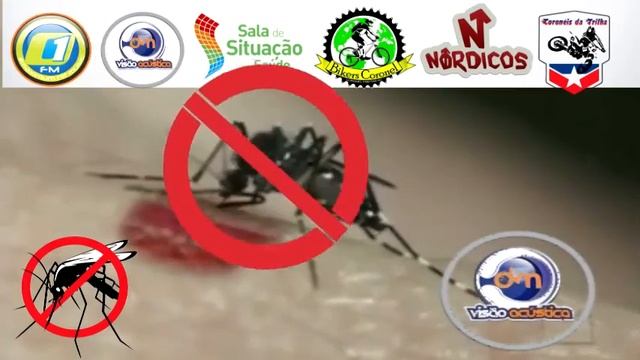 FORA DENGUE! CORONEL FREITAS LIMPA... смотреть онлайн