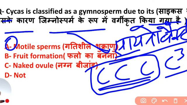 LIVE 4PM|Plant Kingdom -Gymnosperm MCQ PYQ|NCERT BIOLOGY 11