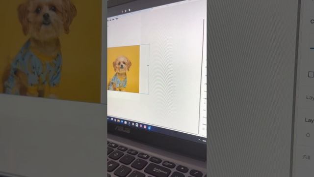 FIGMA УРОК УКРАЇНСЬКОЮ. ЕФЕКТ ВИГНУТОЇ КАРУСЕЛІ. смотреть онлайн