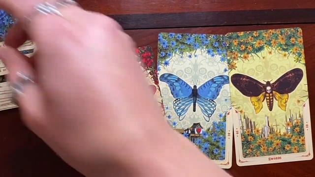 The Santa Muerte Tarot & The Santa Muerte Oracle Deck Comparison with Cassidy the Cardslinger смотреть онлайн