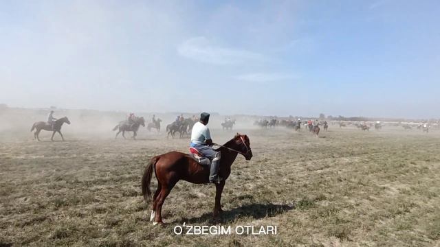 Andijon Bòstonlik Tumani Katta Koʻpkari Musobaqasi 11 10 2023 смотреть онлайн