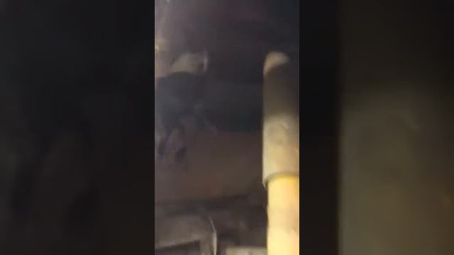 Ниссан Террано вырвало пружину