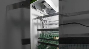 Инкубатор NBF. Отзыв.