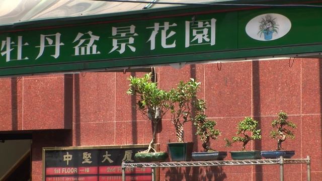 New York City Guide: The Neighborhoods ?? USA смотреть онлайн