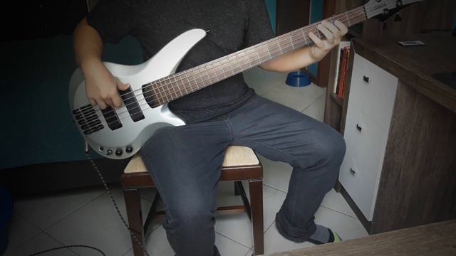 The Doors - Riders On The Storm (Bass Cover) смотреть онлайн