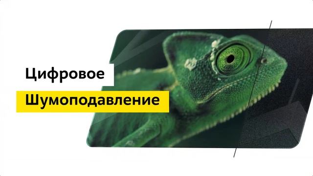 Телевизор Samsung QE49Q77RAU смотреть онлайн