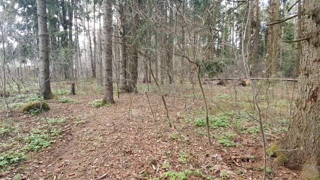 Пришла весна и цветут подснежники! Дачный влог 2022 смотреть онлайн