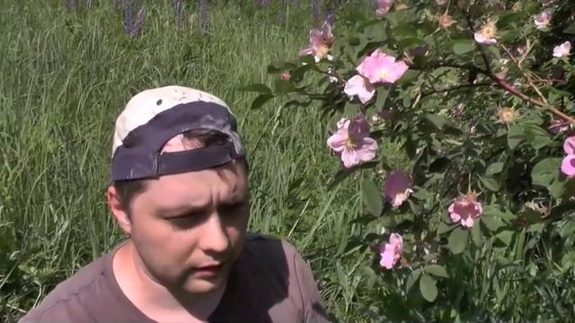 Ошибки. Установка насоса в скважину своими руками. Попал на деньги смотреть онлайн