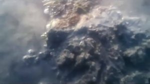 Лиманский червь нереис где искать и где копать?