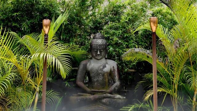 Buddha's Flute Sleep Will Come │Flute Meditation Music