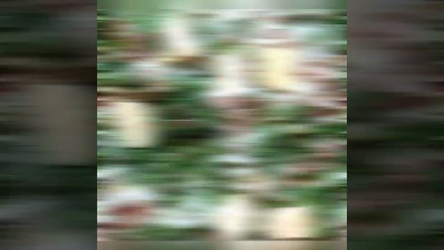 Кулинарные Открытия