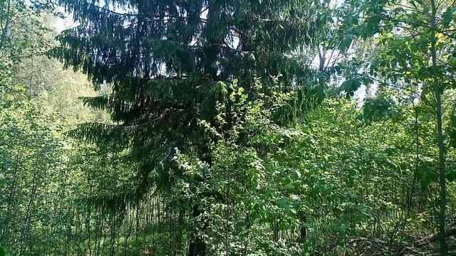 YouCut_20230609_134219142.mp4 смотреть онлайн