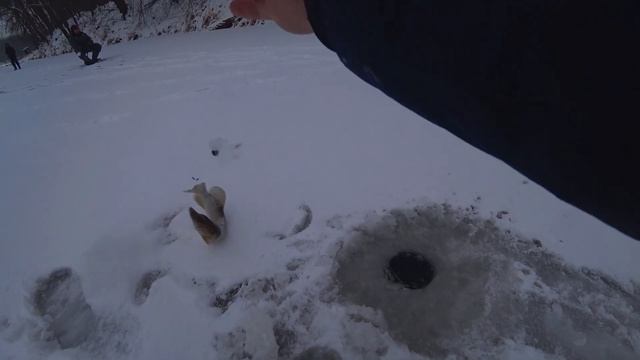 ВЫШЛИ ПЕРВЫМИ В НЕБИТОЕ МЕСТО! Ловля щуки по ПЕРВОМУ ЛЬДУ на жерлицы и балансир! Зимняя рыбалка! смотреть онлайн