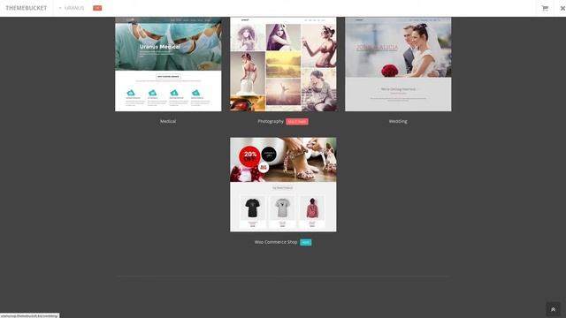 Uranus - Responsive Multi-Purpose Wordpress Theme смотреть онлайн