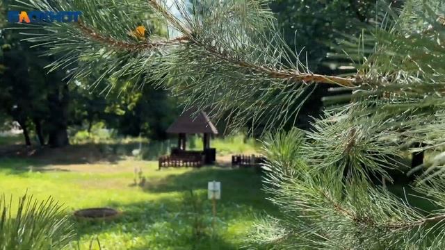 Парк-отель «Пересвет» - эко-сказка в 20 км от Волгограда, в которую хочется вернуться смотреть онлайн