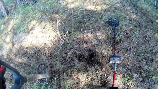 Удачный металло коп в лесополосе с металлоискателем Minelab X-Terra 305. смотреть онлайн