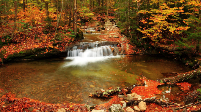 Расслабляющие звуки реки - Мирная лесная река ✦ Релакс ✦ Релаксация смотреть онлайн