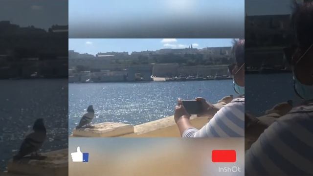 Msida to Sliema(walking 101) смотреть онлайн