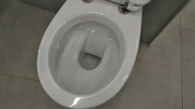 Germany Duravit Colomba 25470900000 подвесной унитаз Duraplus крышка 0064290000