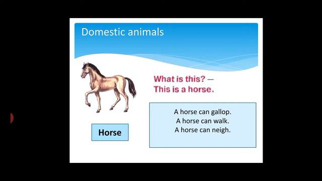 Животные на английском. Domestic And Wild Animals.