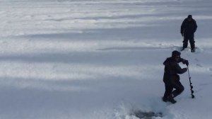 Саранпауль 2023