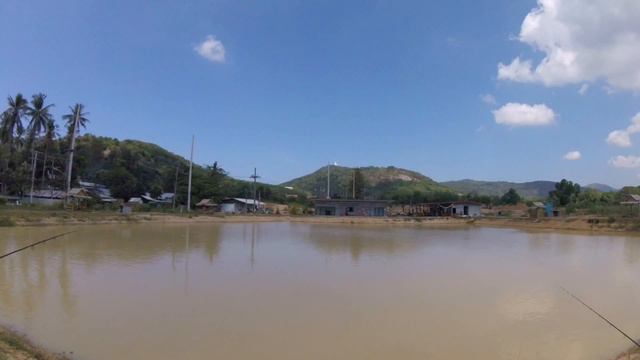Phuket Fishing Park 2017 guy catches 20KG plus fish смотреть онлайн