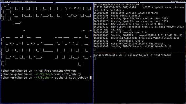 MQTT Clients in Python with the paho-mqtt module смотреть онлайн