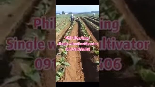 Phil Filterking Single Wheel Cultivator,nissan Engine,,09173065406