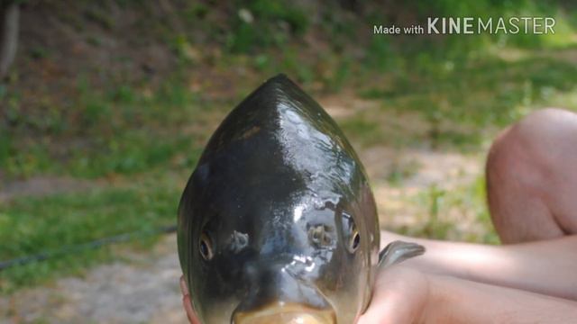 Рыбалка на озере Джулайка смотреть онлайн