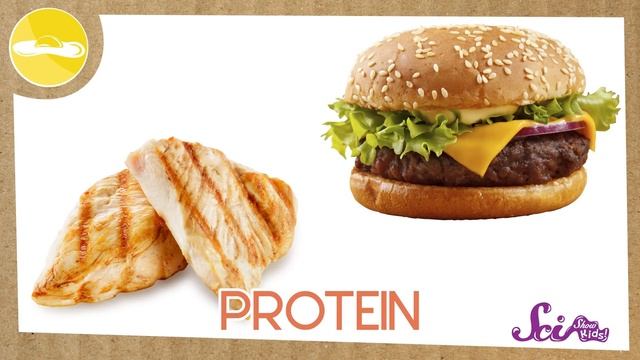 The 5 Fabulous Food Groups смотреть онлайн