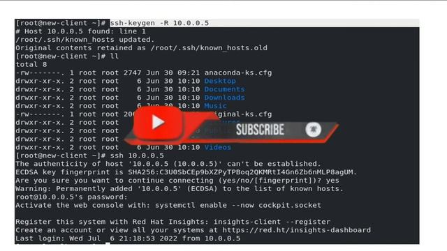 WARNING REMOTE HOST IDENTIFICATION HAS CHANGED #linux #linuxtraining #linuxtips смотреть онлайн