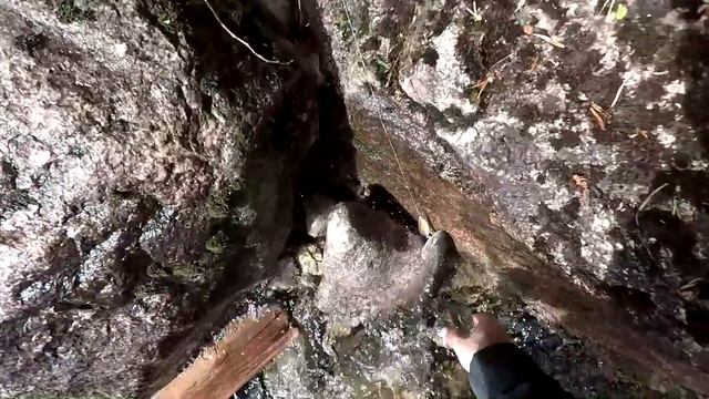 #Гостевой#Дом#Егерские#Услуги Рыбалка с гостями Вываживание крупной форели смотреть онлайн