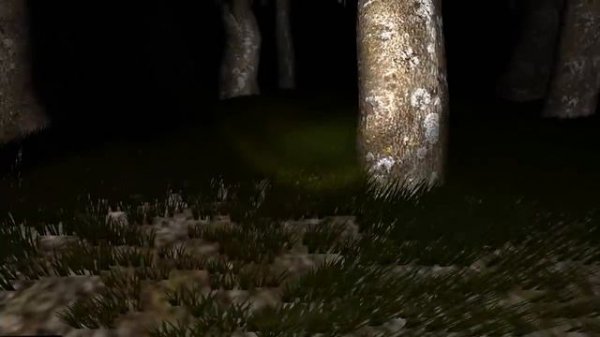 Групповая зоофилия Часть 1 (Survivers)