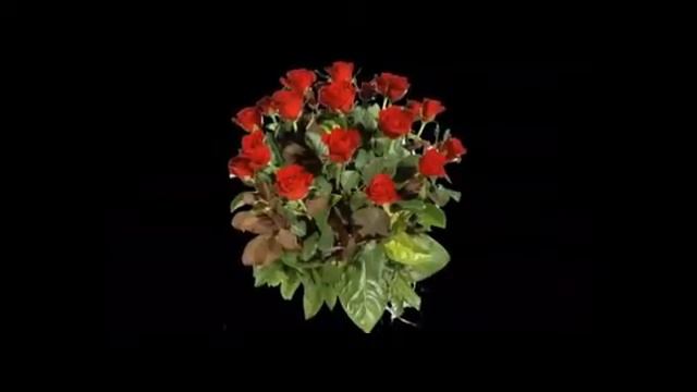 С праздником милые Дамы! смотреть онлайн