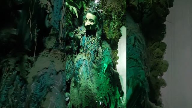 Экскурсия в сказочный музей "Особняк Небылица" в СПб смотреть онлайн