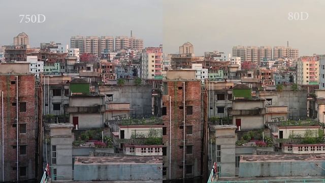 Canon 750D vs 80D, 2018| смотреть онлайн