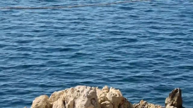 Наш ОТДЫХ в ХОРВАТИИ! Город РОВИНЬ. смотреть онлайн