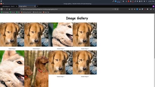 CSS Grid Basics - Build Responsive Image Gallery || Web Development part 9 смотреть онлайн